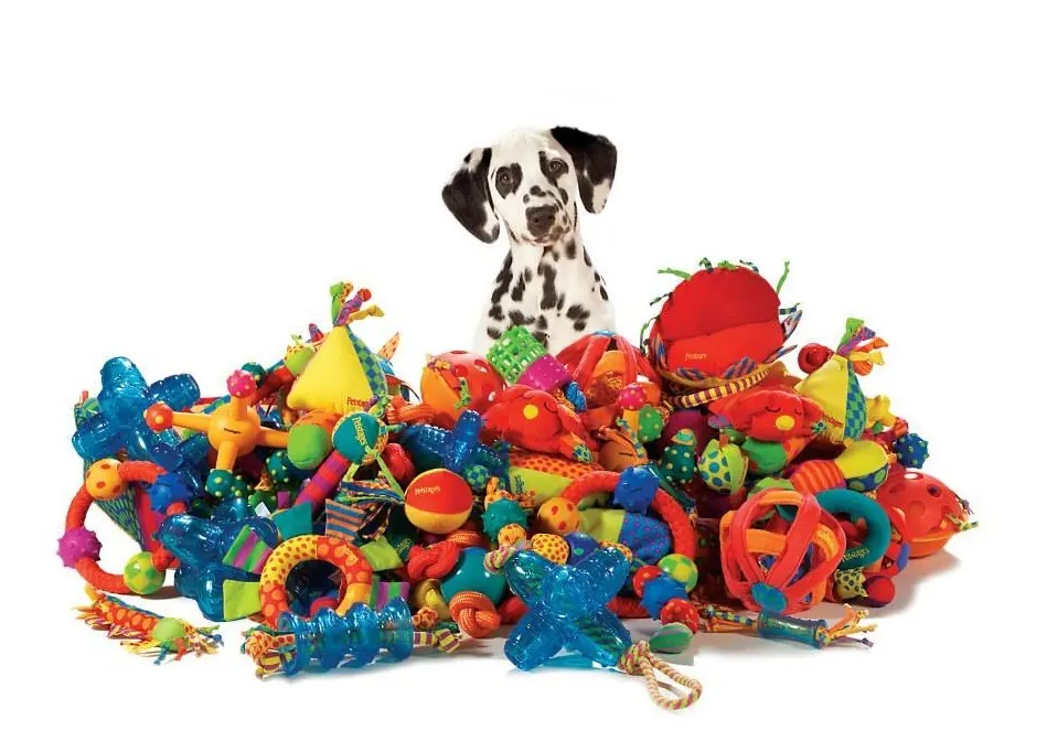 A Dalmatian puppy sitting behind a huge, colorful pile of dog toys — balls, ropes, rings, and chew toys on a white background